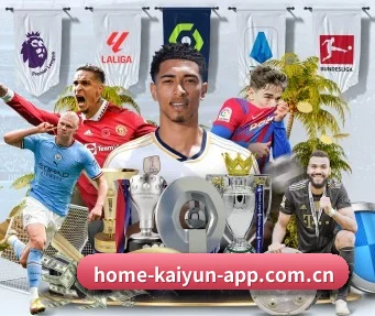开云体育 APP - kaiyun-app